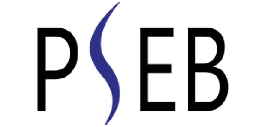 Pakistan Software Export Board